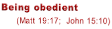 Being obedient       (Matt 19:17;  John 15:10)