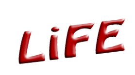 LiFE